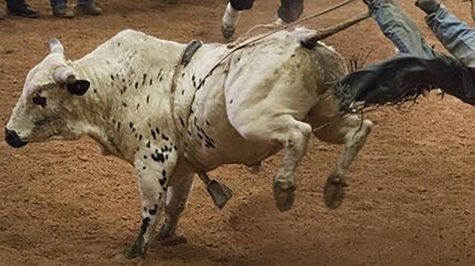 CC Bucking Bulls and Barrels Tickets